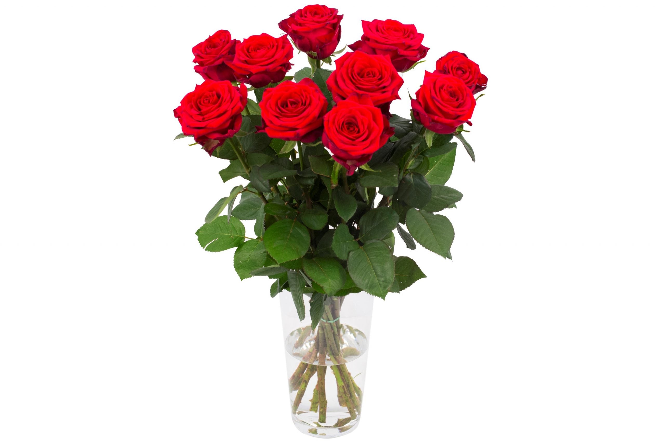 Bouquet von 10 roten Naomi Rozen