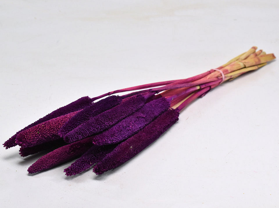 Bos of Babala Purple 10st. 70cm