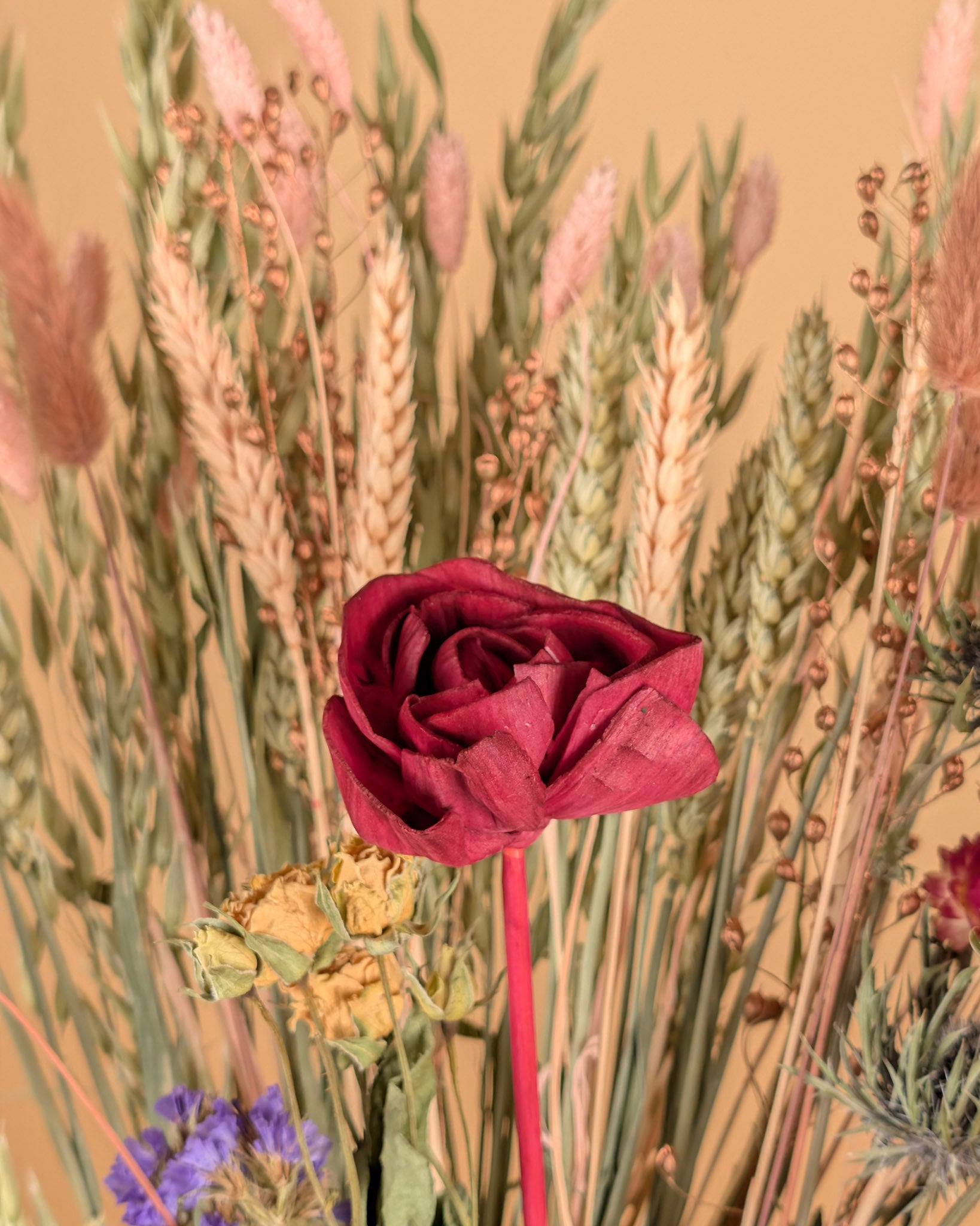 Délice de Bourgogne – Bouquet de fleurs séchées des champs (60 cm)