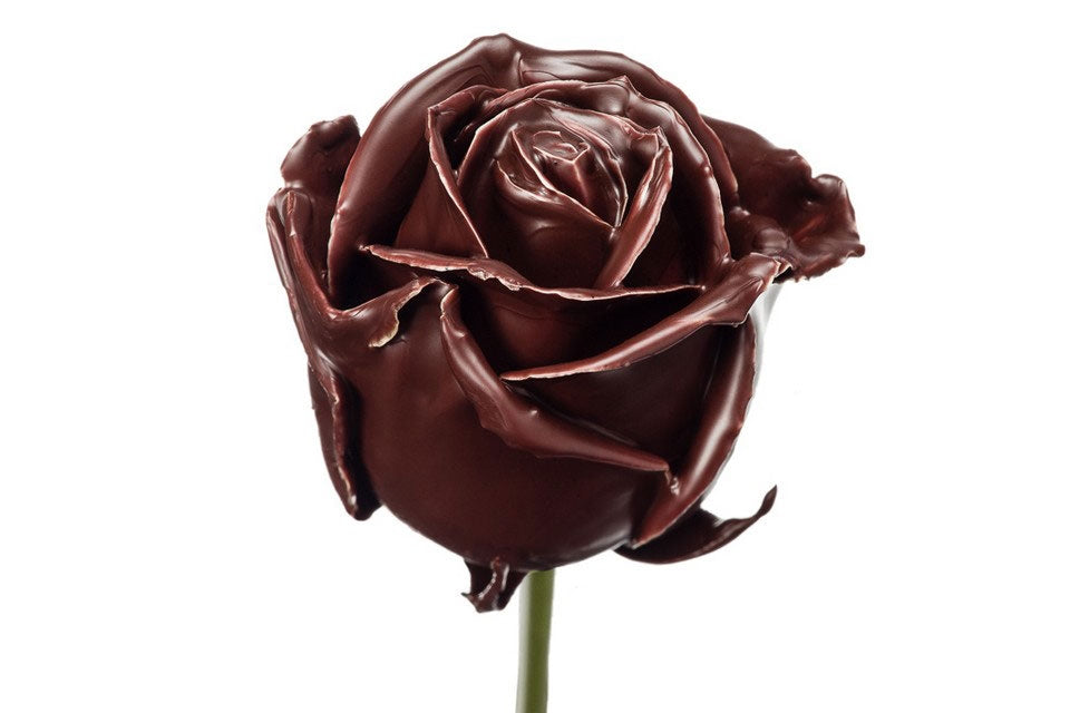 Bouquet of large -flowered brown wax roses
