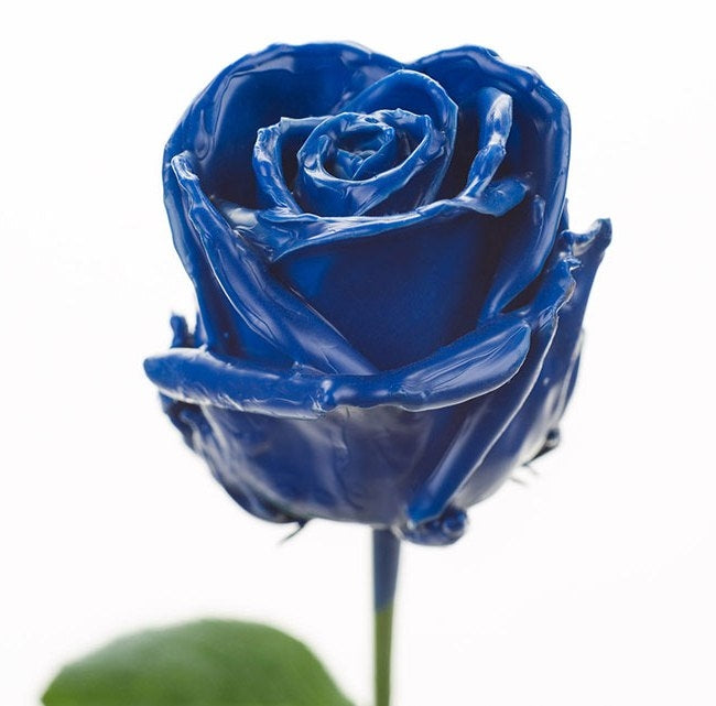 Bouquet de grandes roses de cire bleu foncé à flux