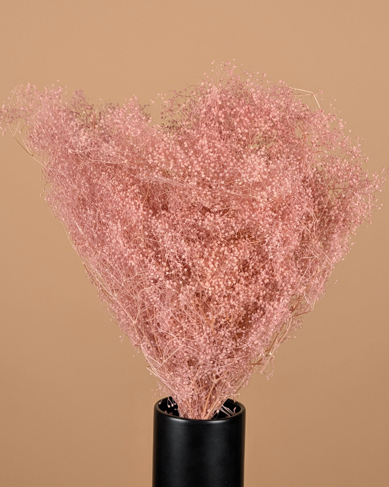 Mini gypsophila pink preserved (gypsum)