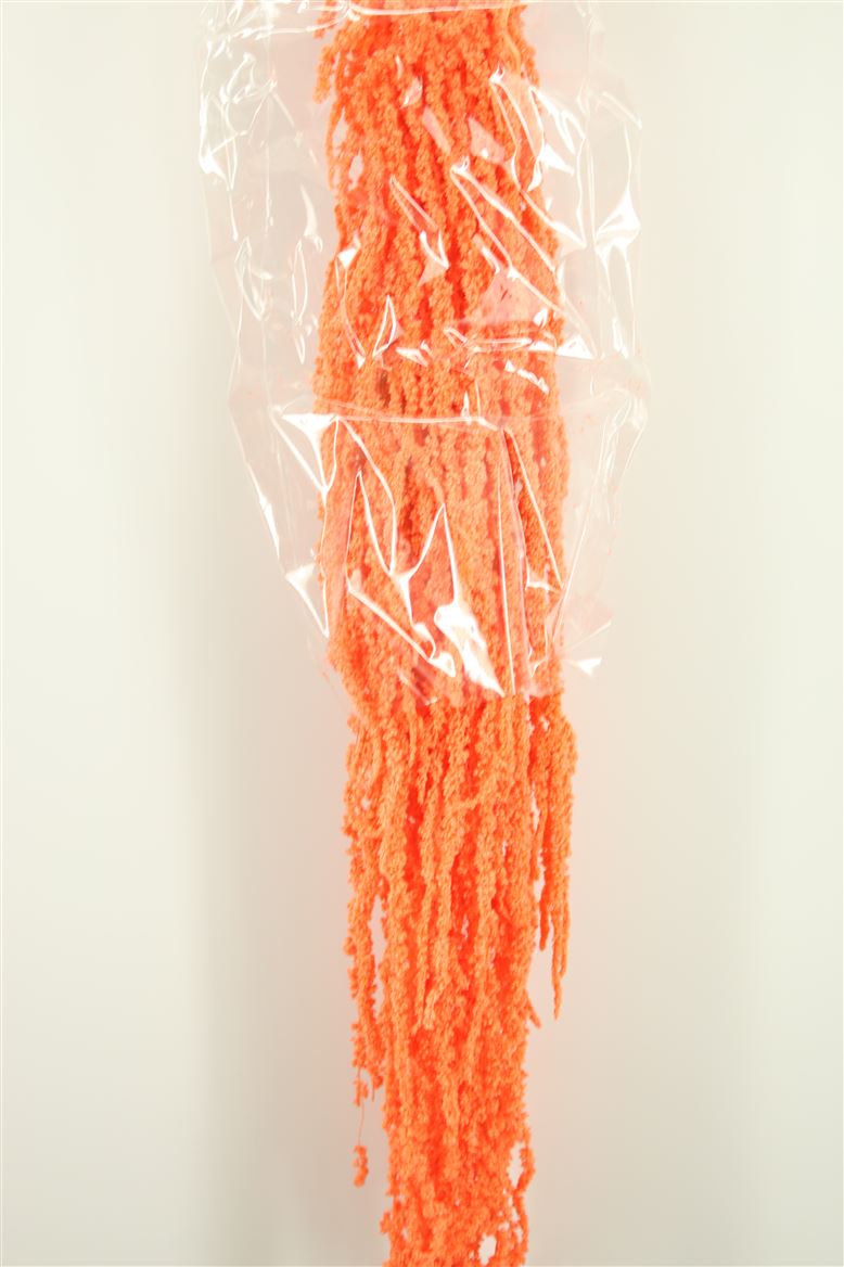 Saumon préservé de l'amaranthus caudatus séché