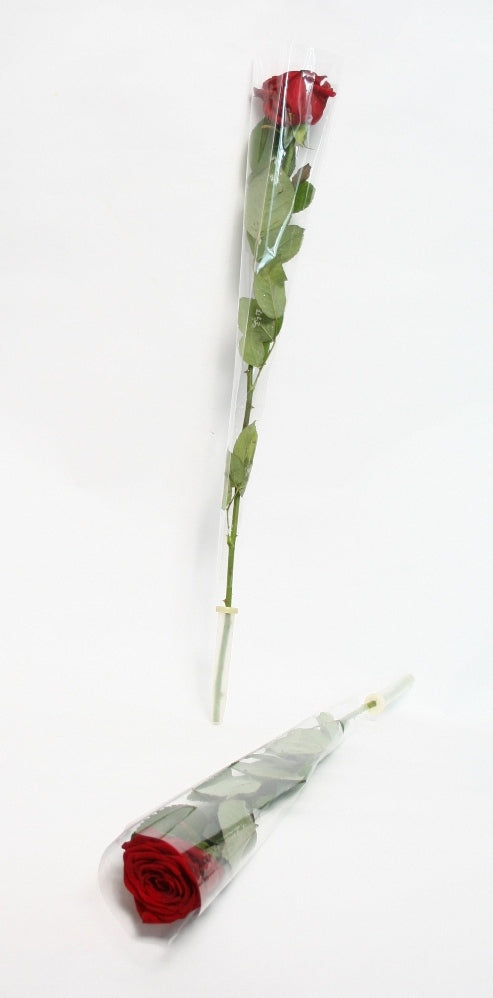 Long roses of 70 cm each packed with a flower tube