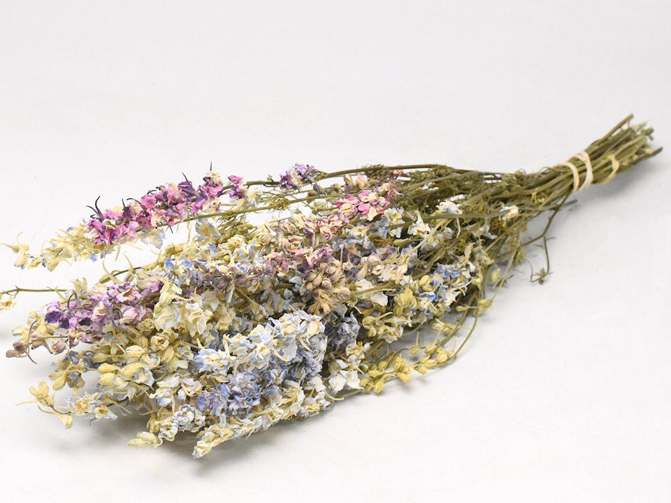 Delphinium -Pastellmischung 65 cm