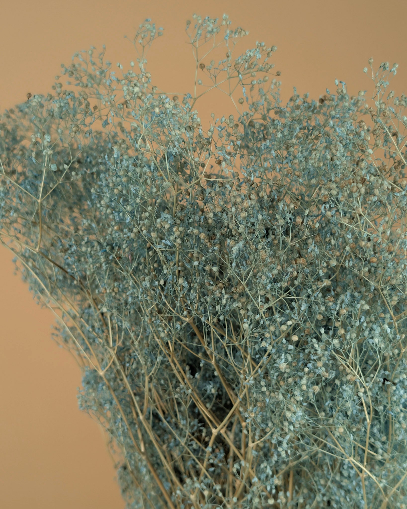 Gepreserveerd mini gypsophila – blauw