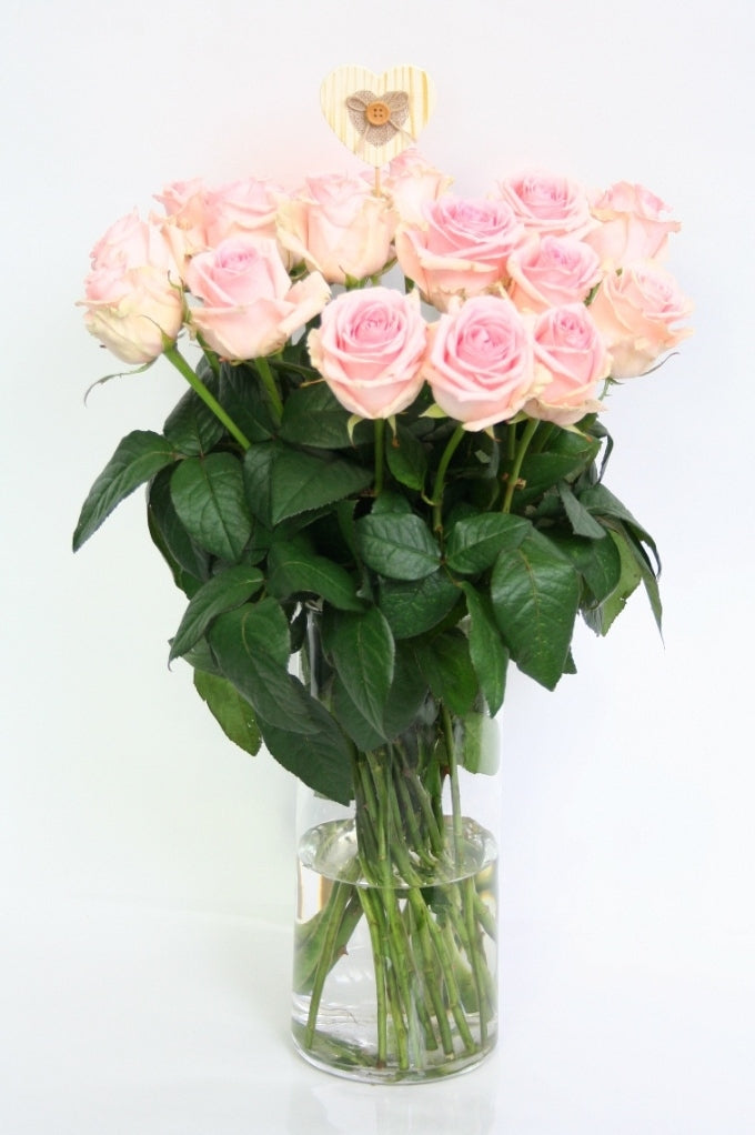 Roses Bouquet 10 Medium Long Great Flowered Soft Pink Roses