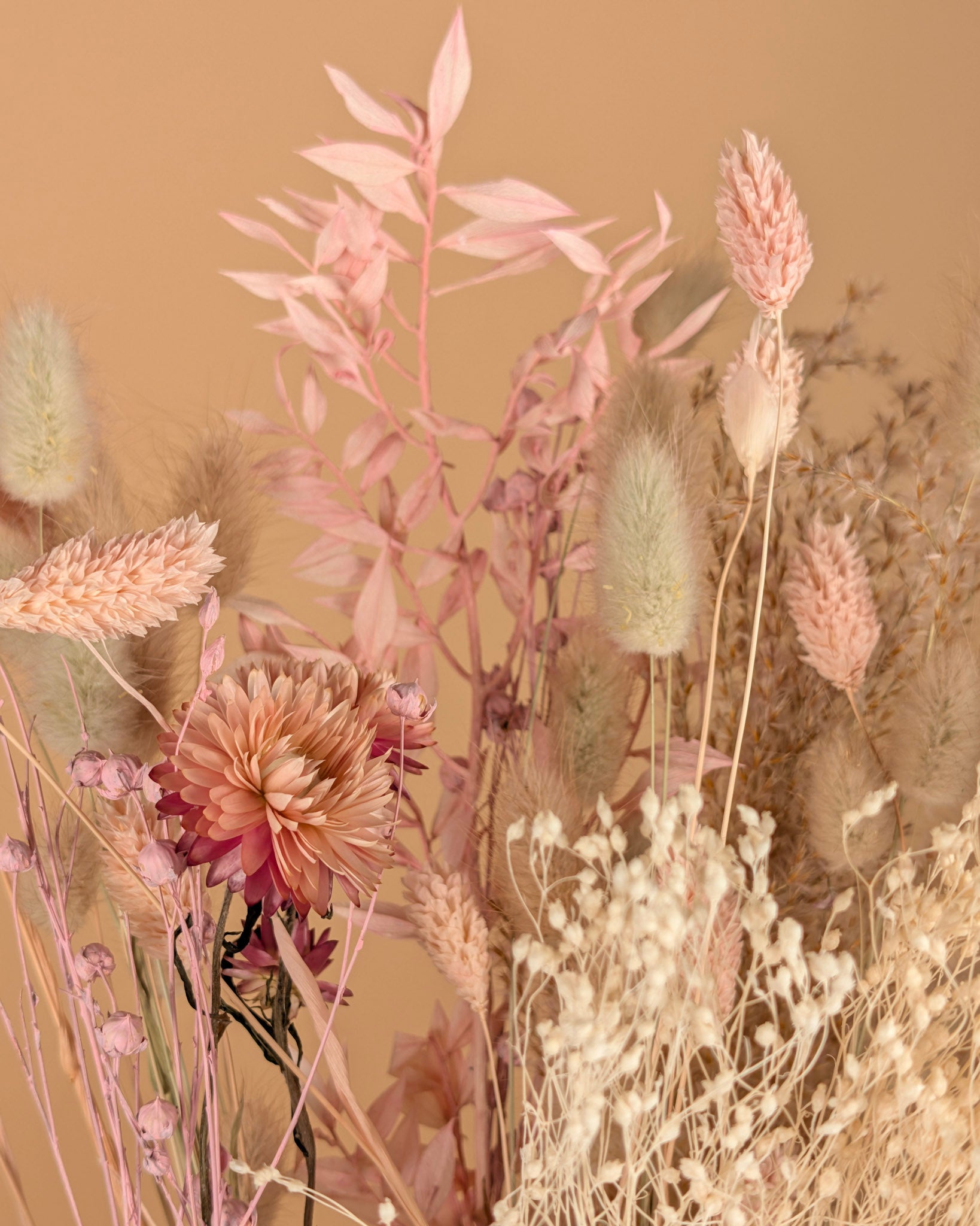 Trockener Bouquet Erröten