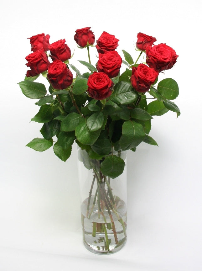 A dozen red -wholesal roses