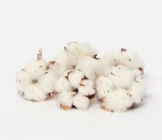Cotton balls