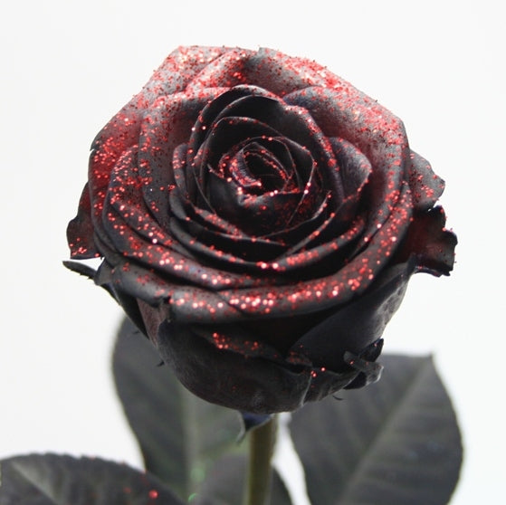 Roses bouquet of large -flowered glittered black roses