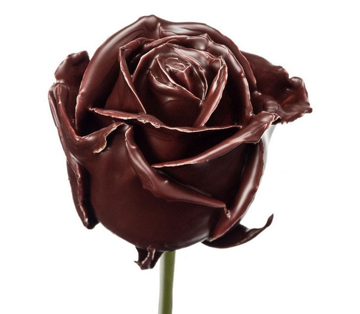 Wax Rozen boeket bruin