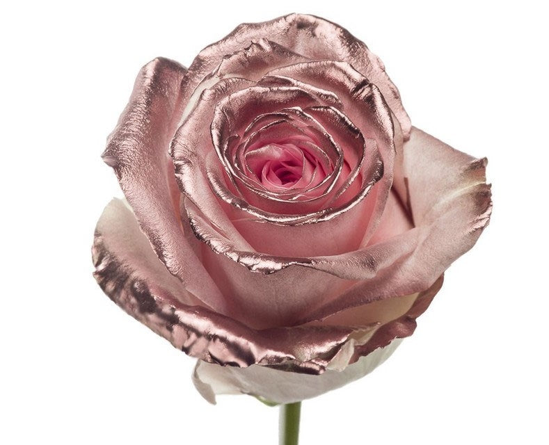 Bouquet of long pink roses with copper blos