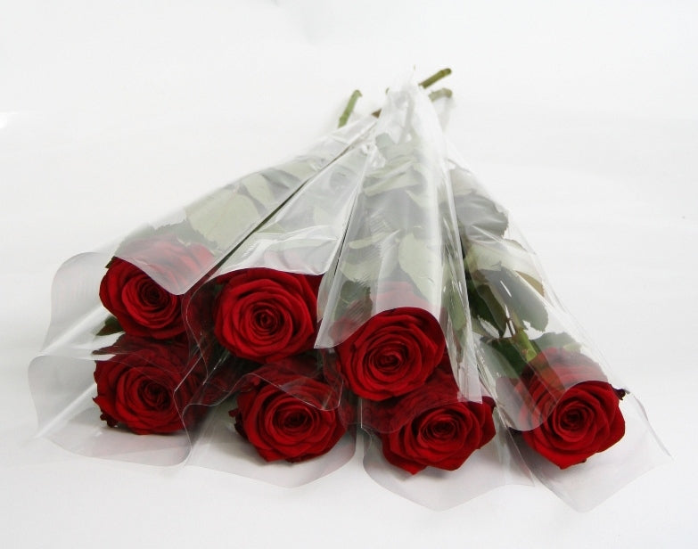Packed roses in a case with a flower tube