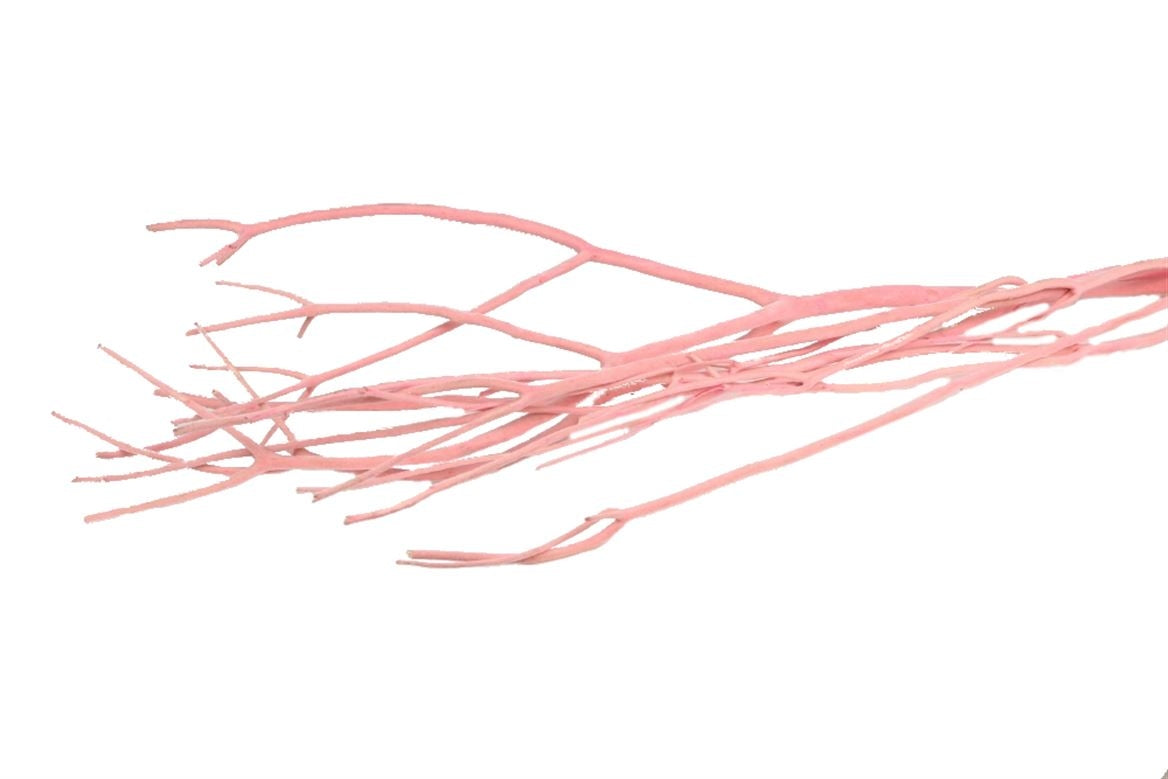 Mitsumata Flock Light Pink per 3 branches