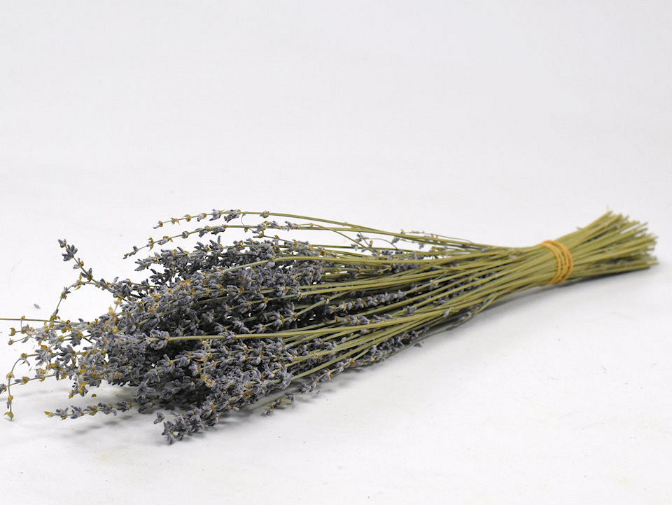 Lavendin séché 55cm 70gr.