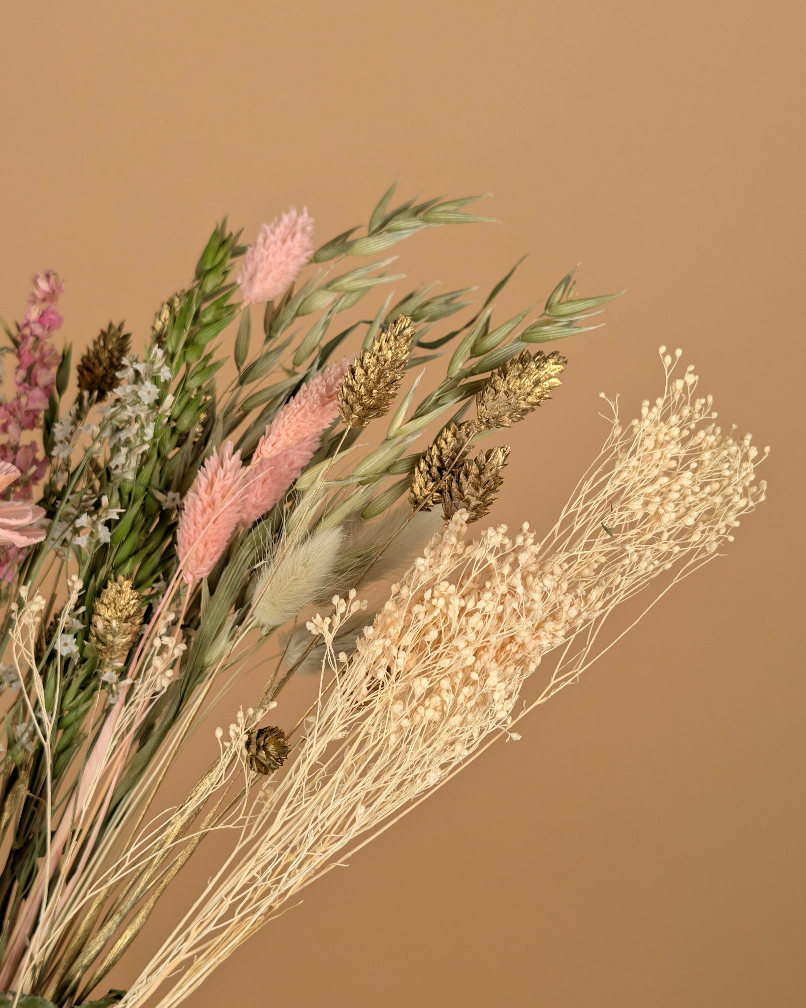 Le bouquet sec a vraiment aimé
