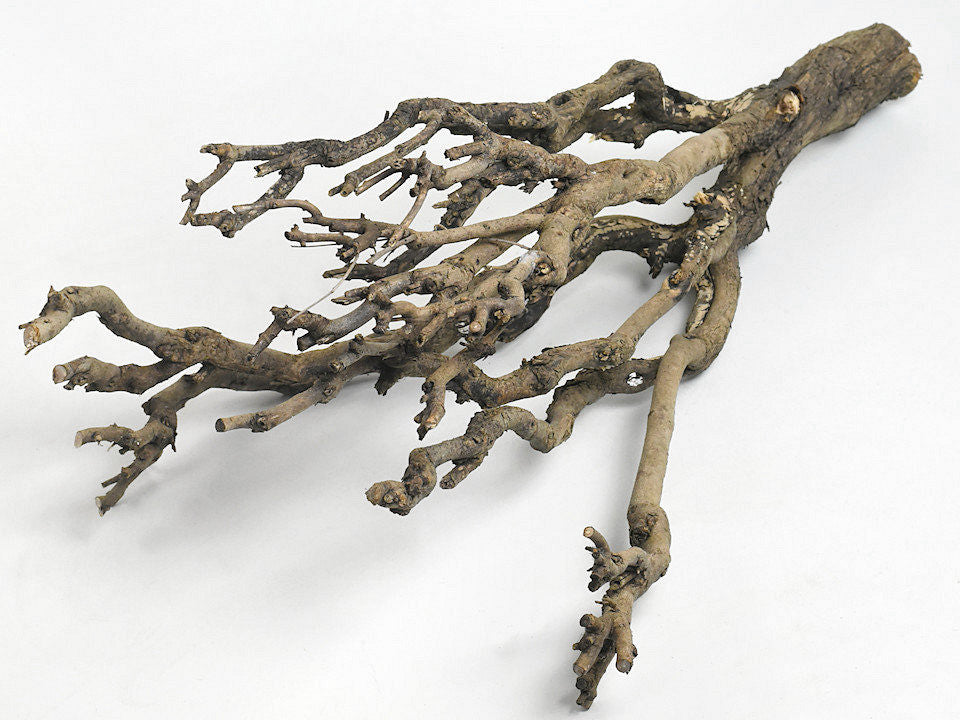 Serie Branch 80-90 cm