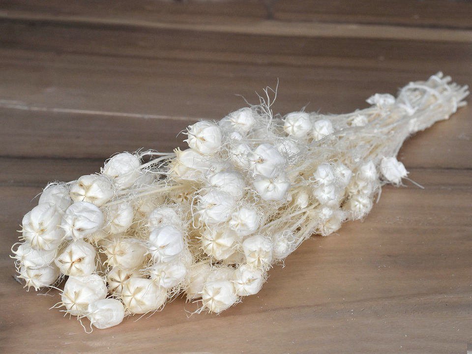 Nigella bleached 100gr.