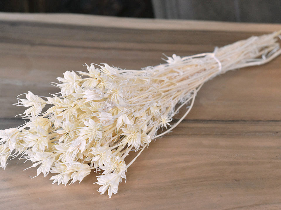 Nigella Orientalis a blanchi 100gr.