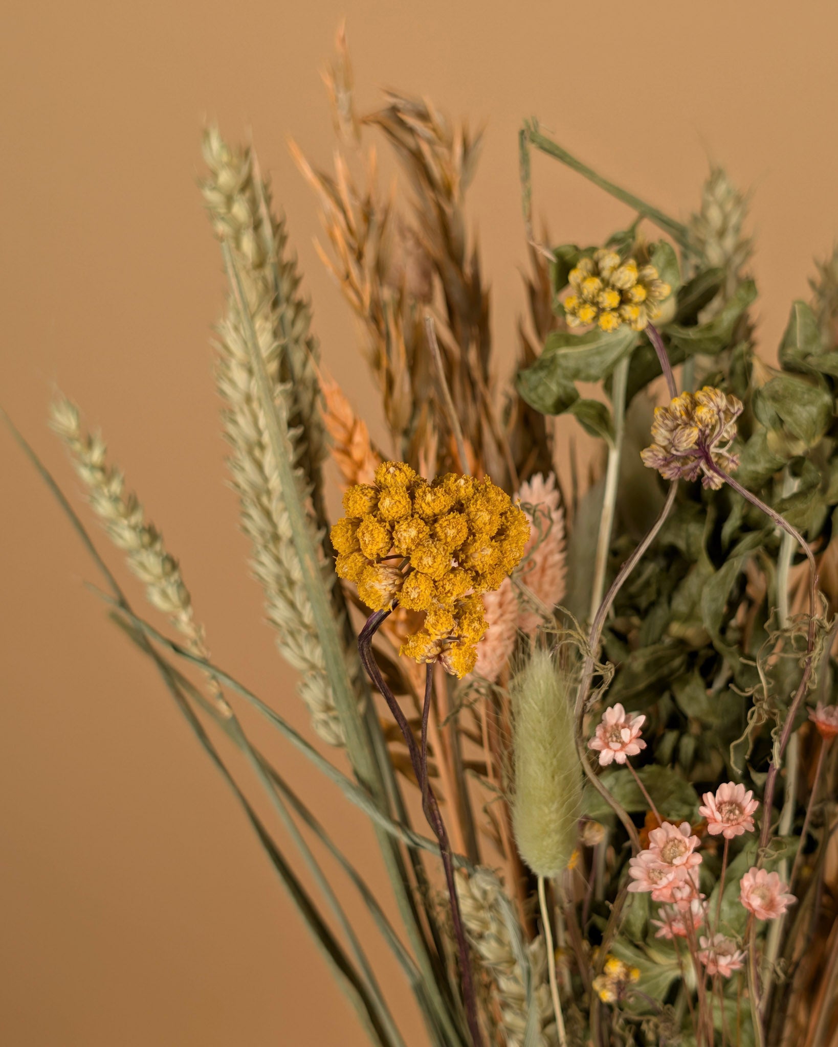 Droog Veldboeket - Sunny Delight
