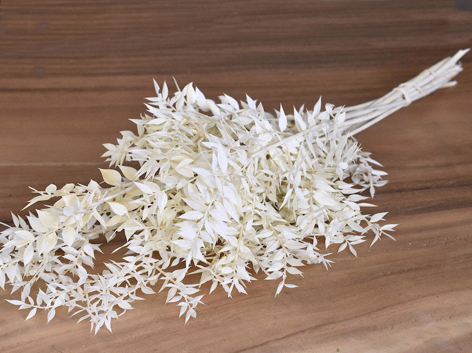 Russcus bleached 90 cm 150gr.