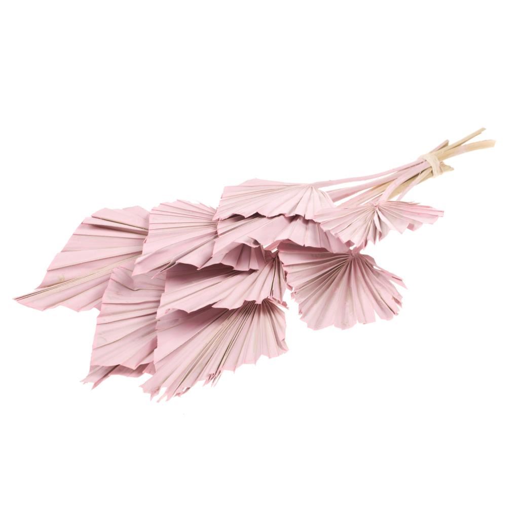 Gedroogd palm speer – roze