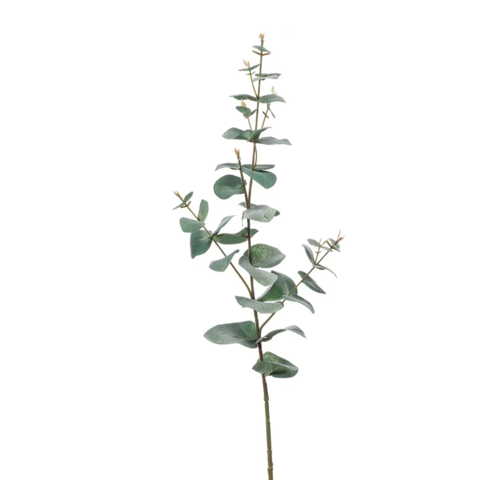 Zijde Eucalyptus – Groen / Grijs (75 cm)