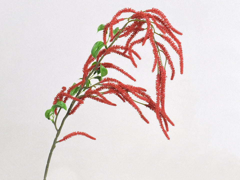 Kunst Hazel Red 78 cm