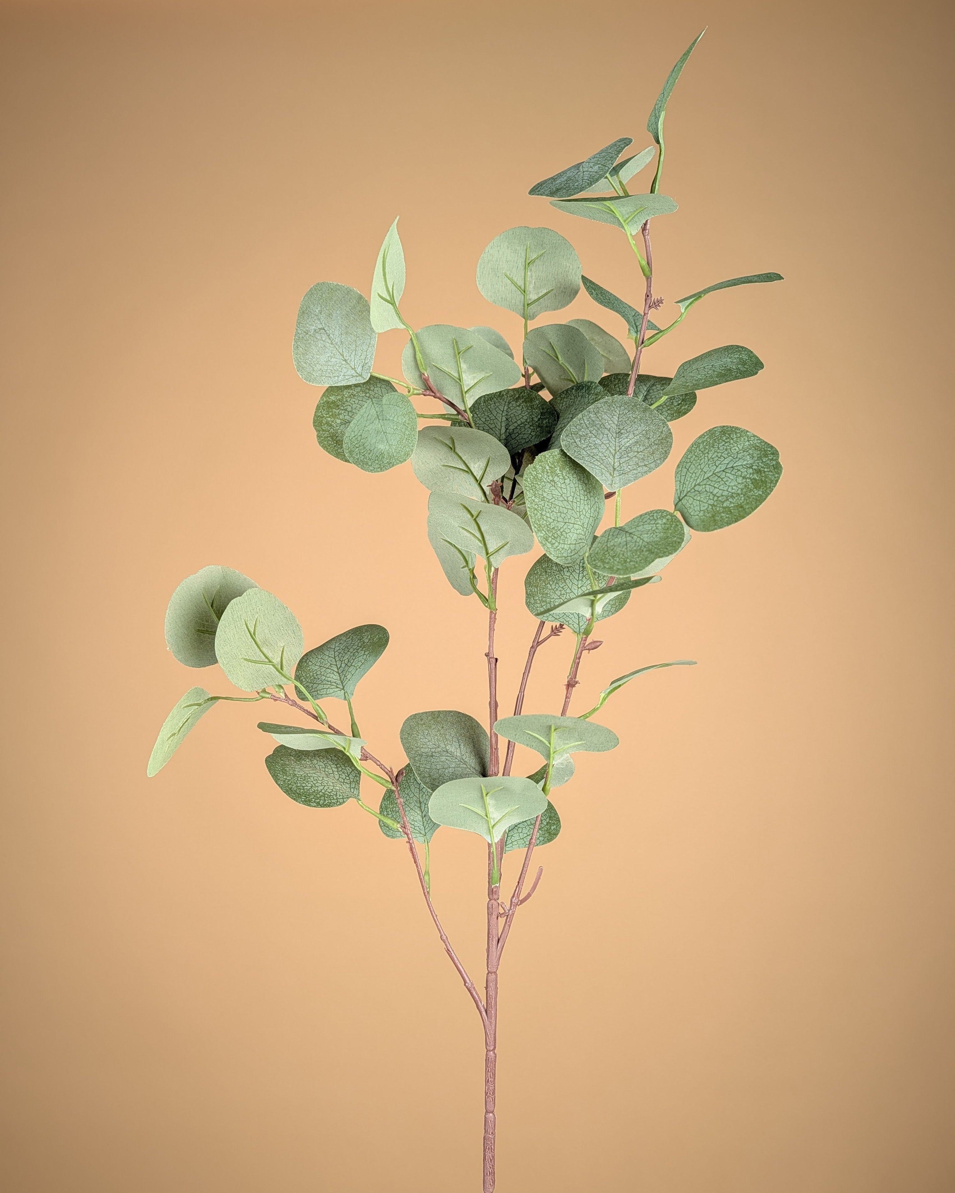 Zijde eucalyptustak groen grijs