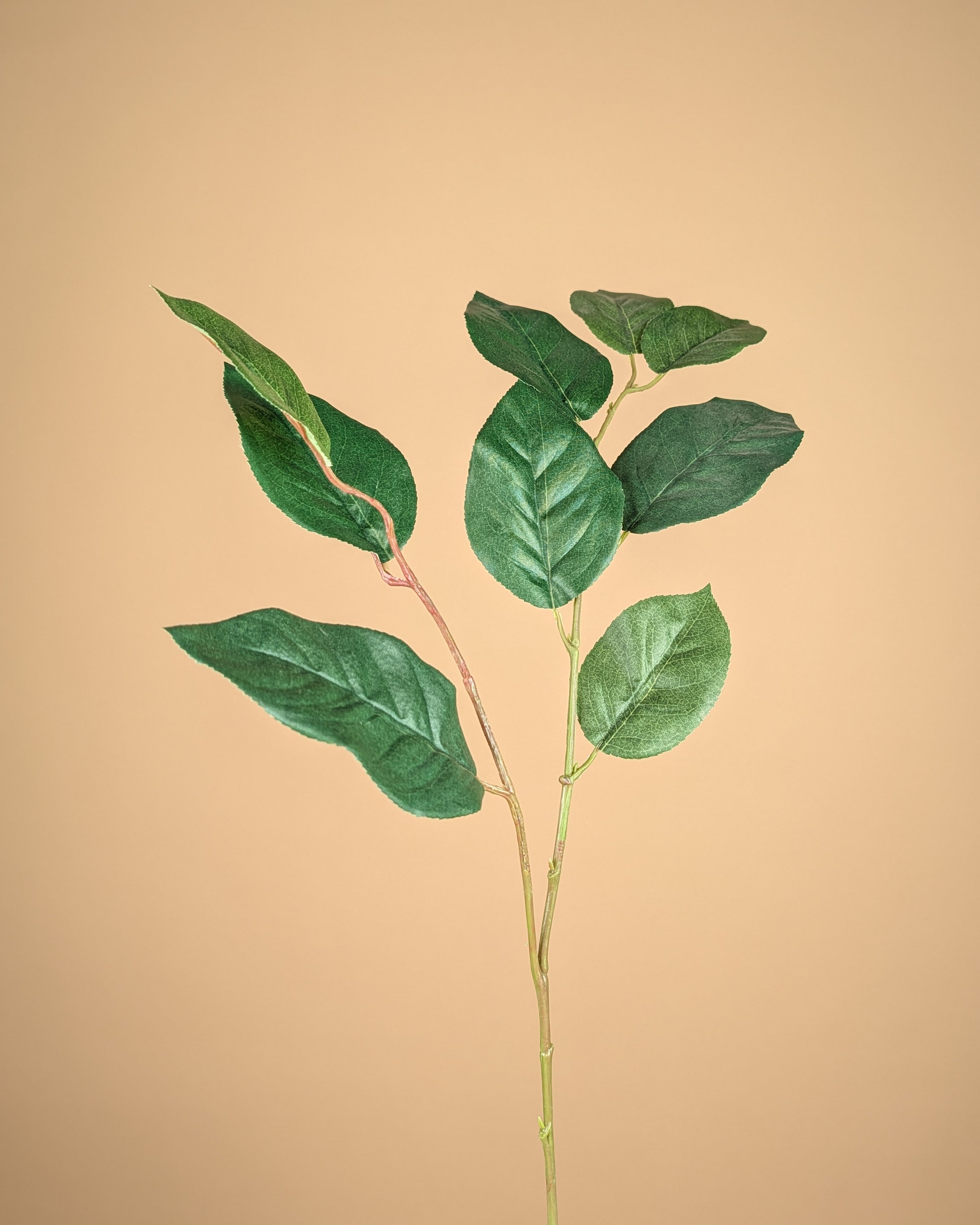 Zijde Shallon – Groen (70 cm)