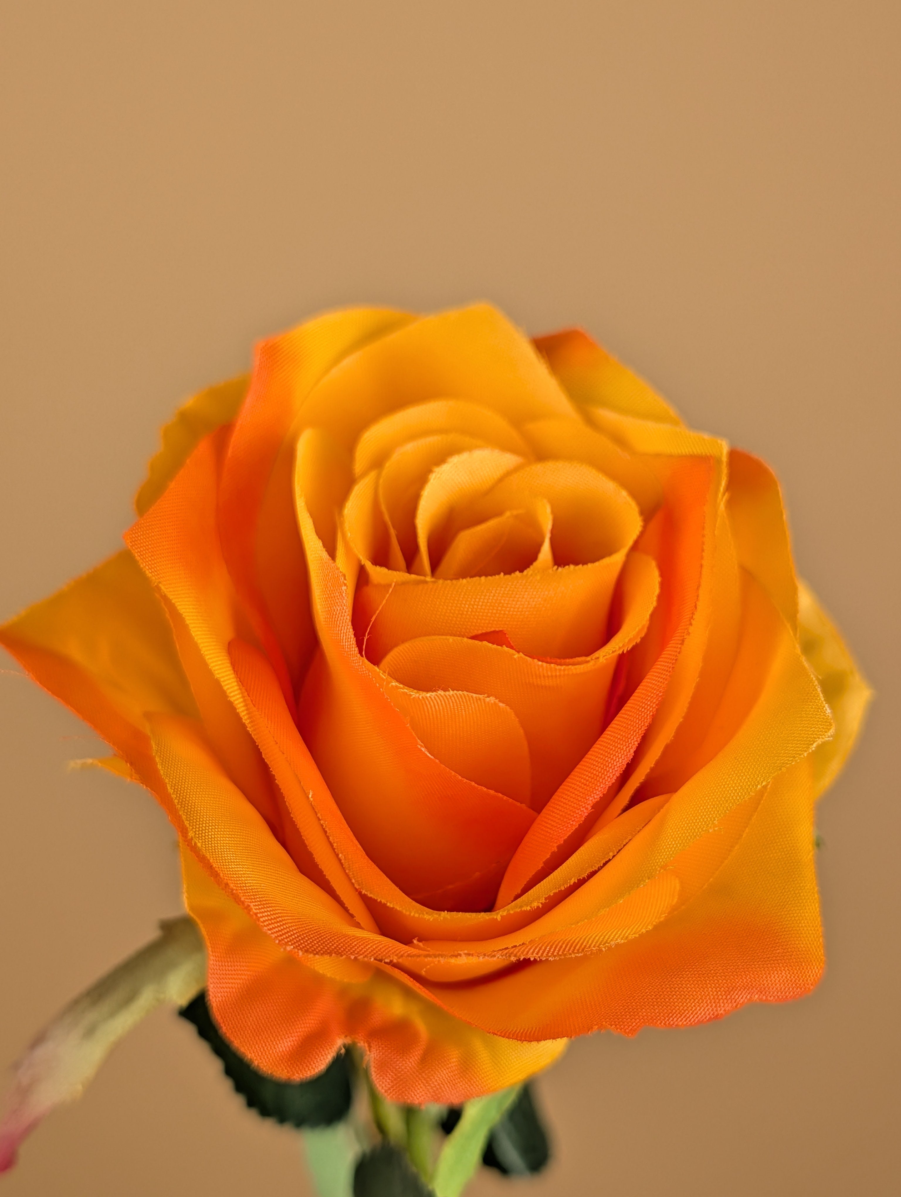 Zijde roos warm geel oranje