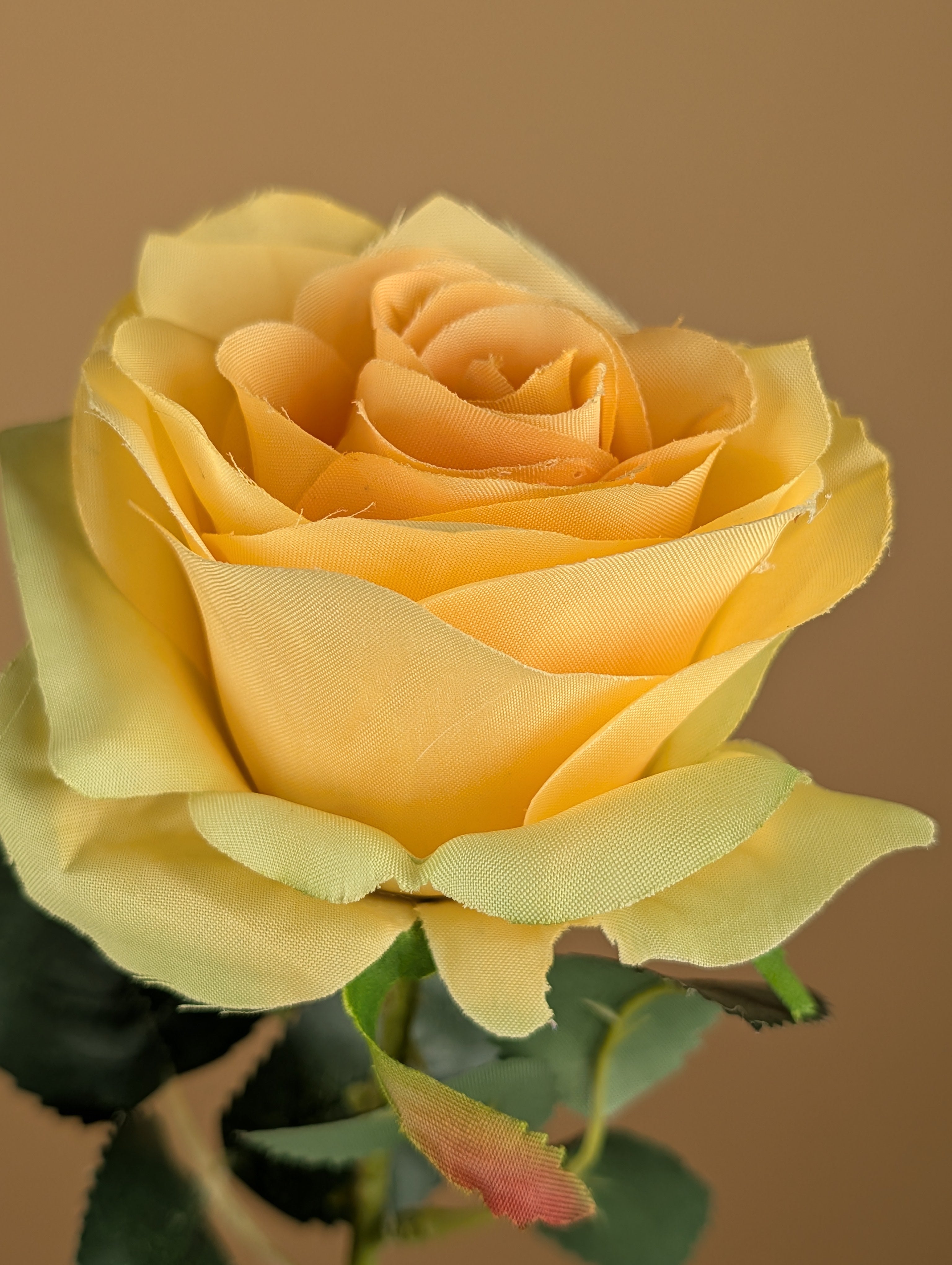 Zijde Roos Simone – Zachtgeel (45 cm)