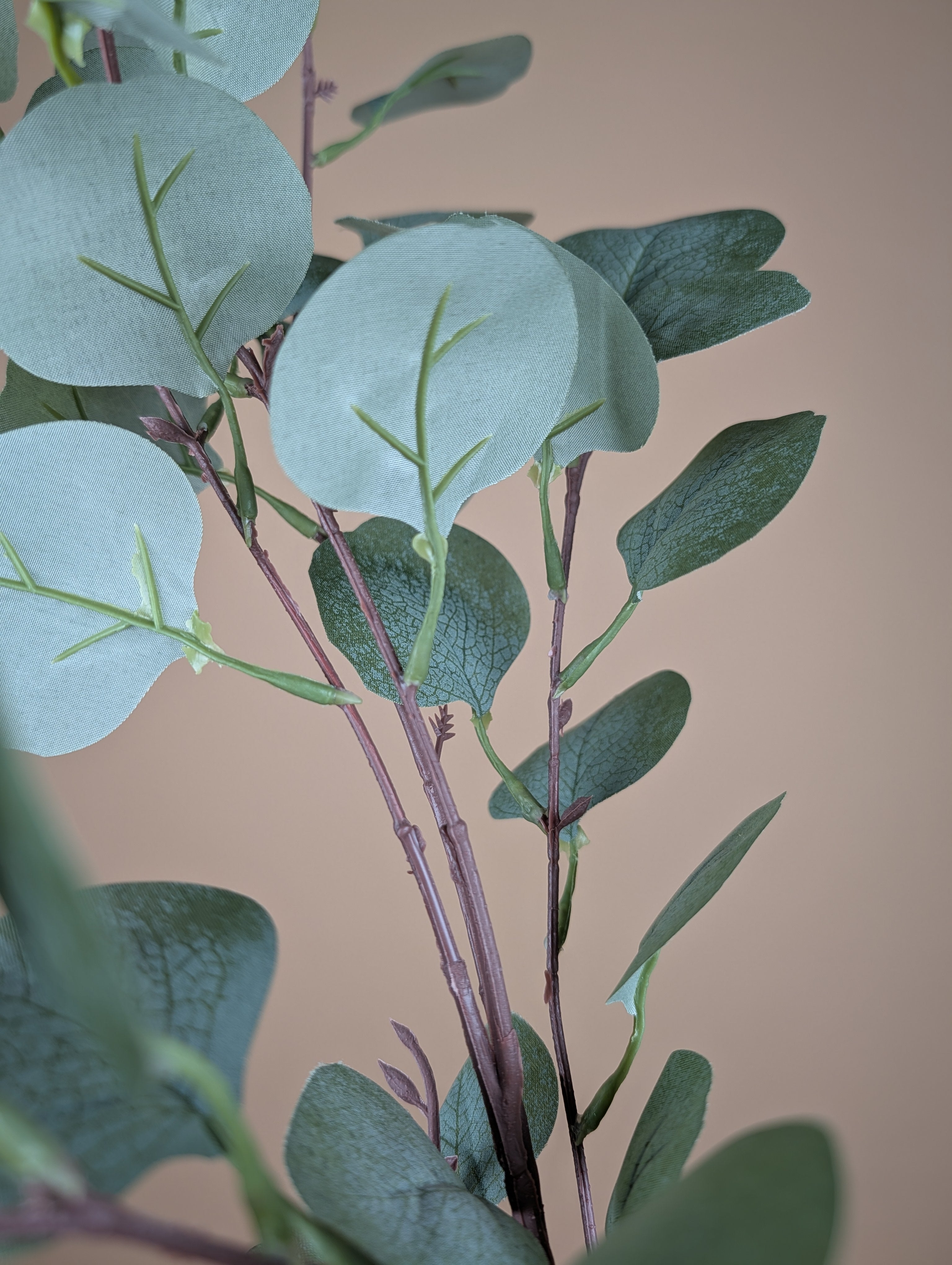 Zijde eucalyptustak groen grijs