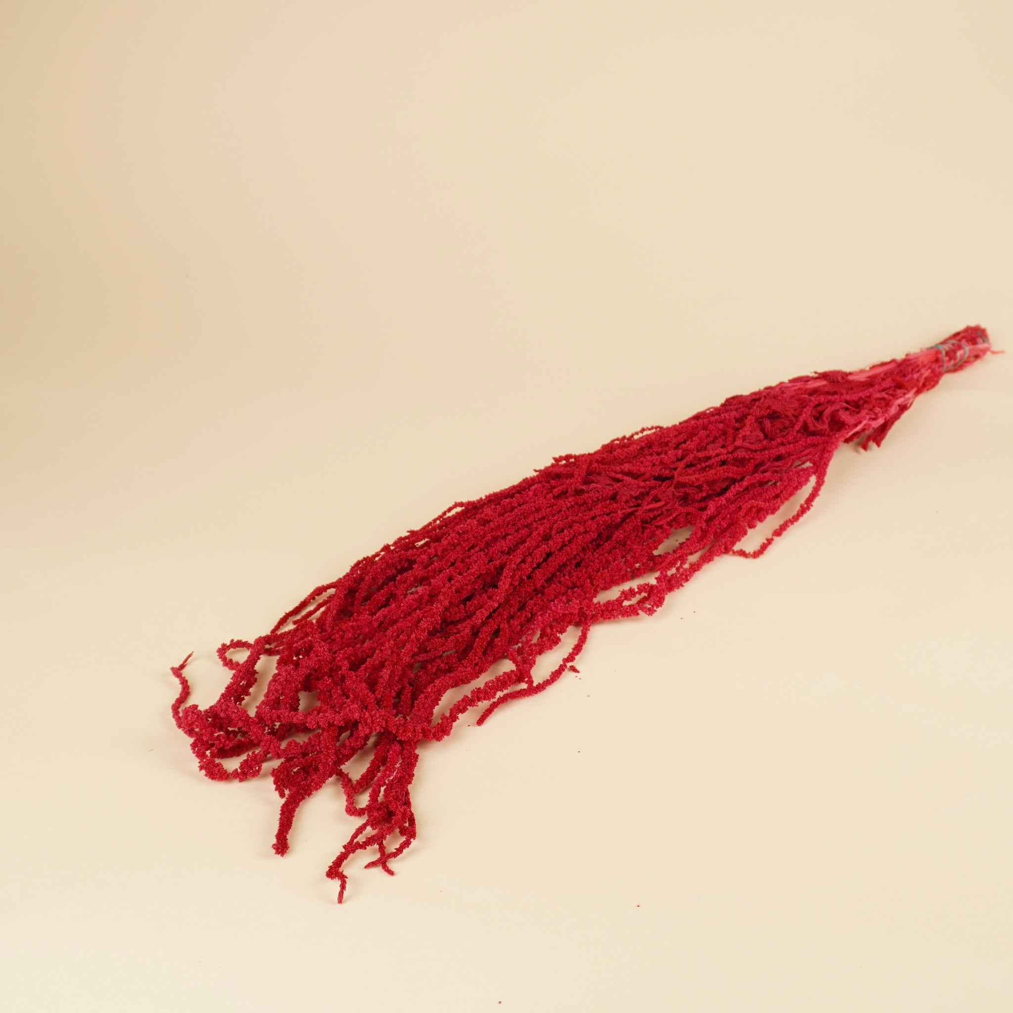Gedroogde Amaranthus Caudatus – cerise