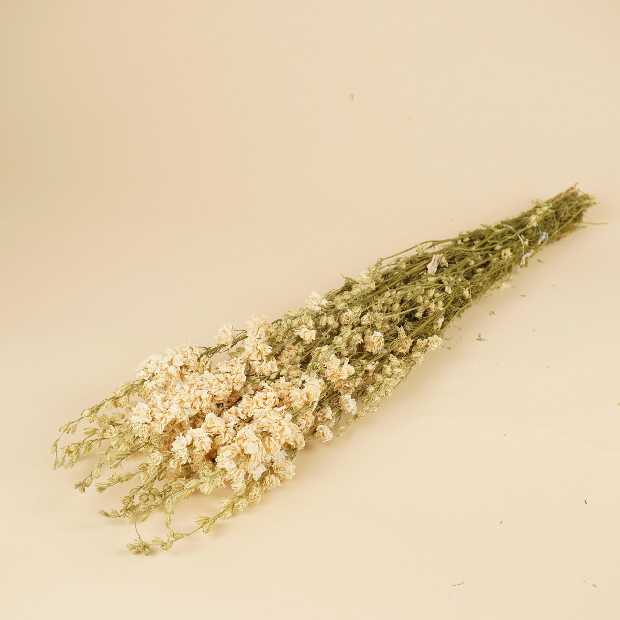 Gedroogde delphinium (ridderspoor) – wit