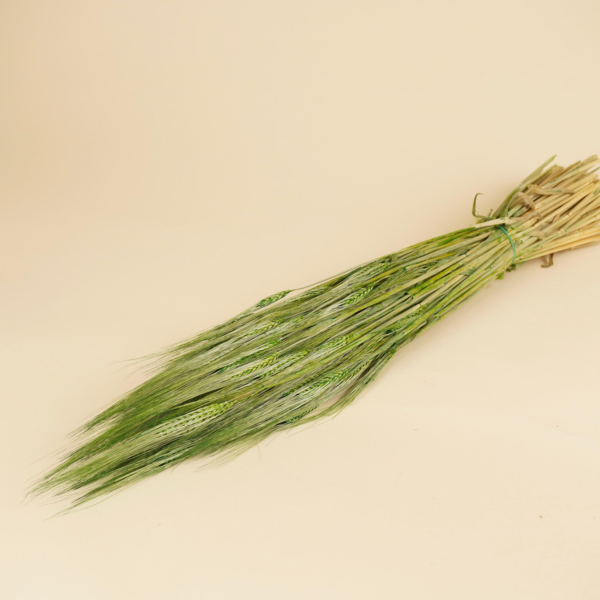 Gedroogde Gerst – groen
