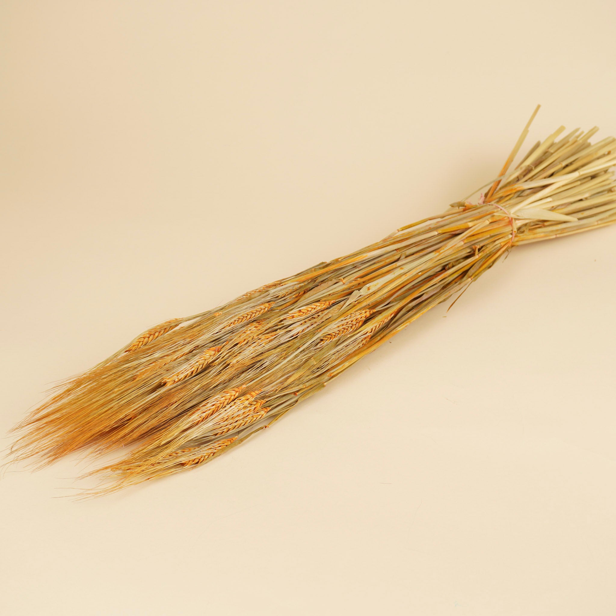 Gedroogde gerst – oranje