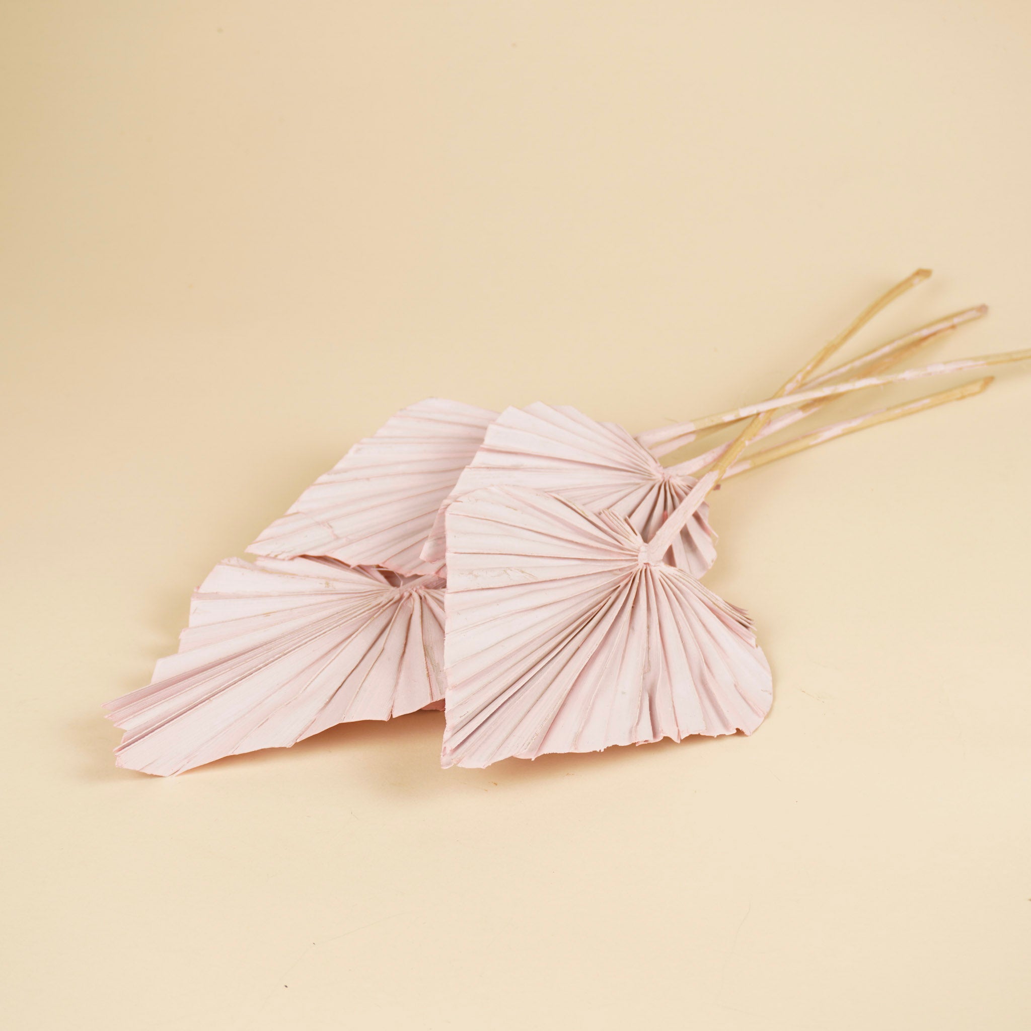 Gedroogde palm speer – roze