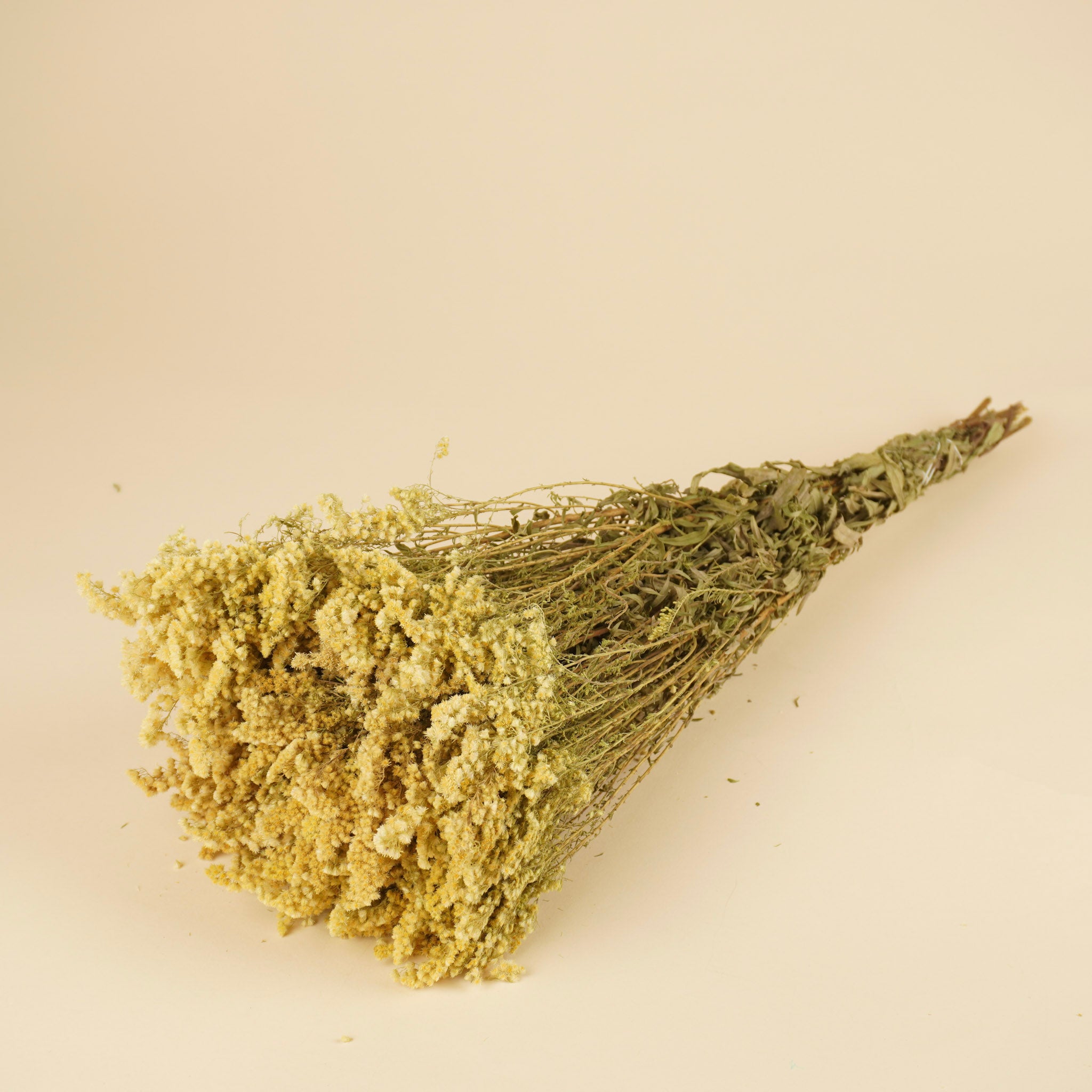 Gedroogde solidago – naturel geel