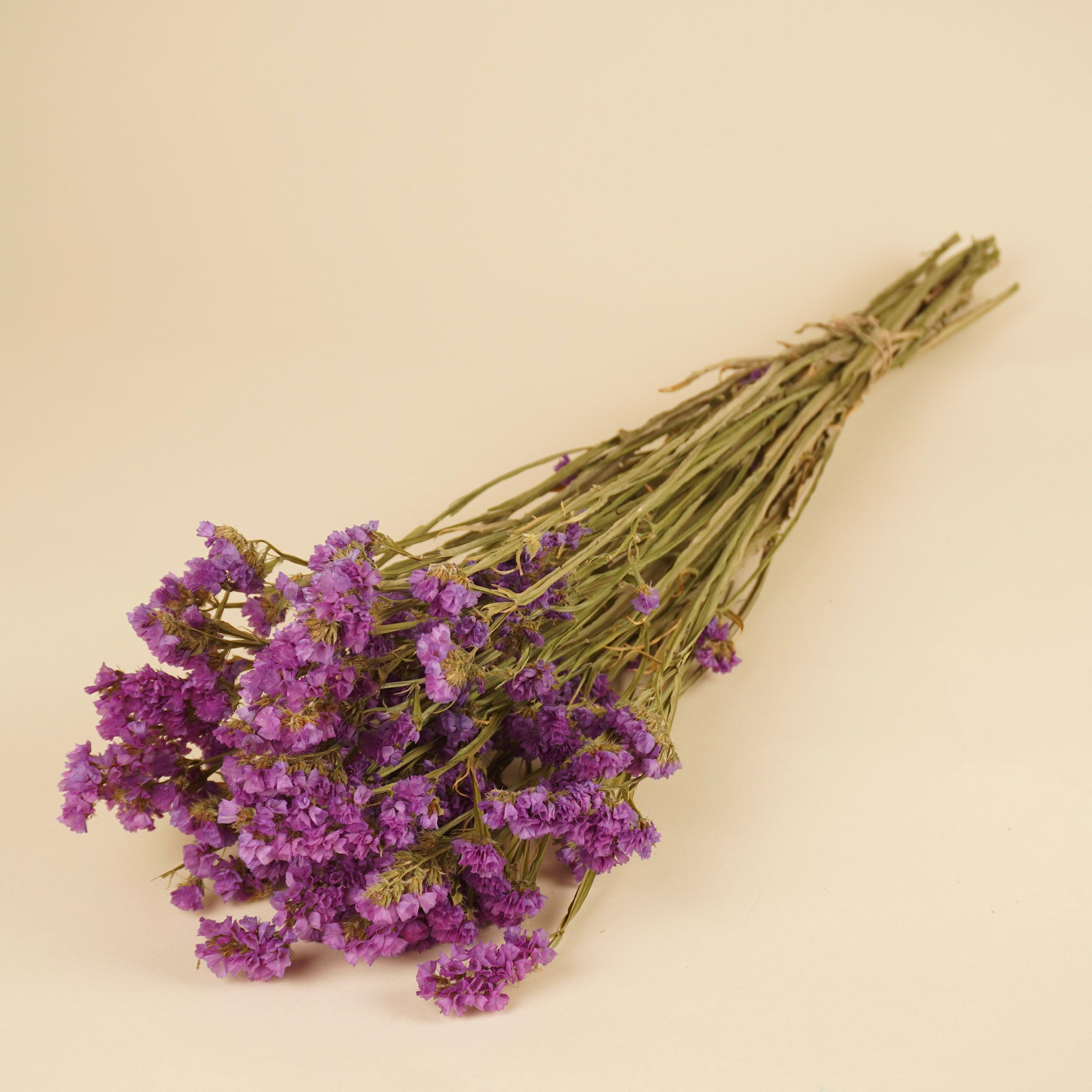 Gedroogde statice (lamsoor) – roze