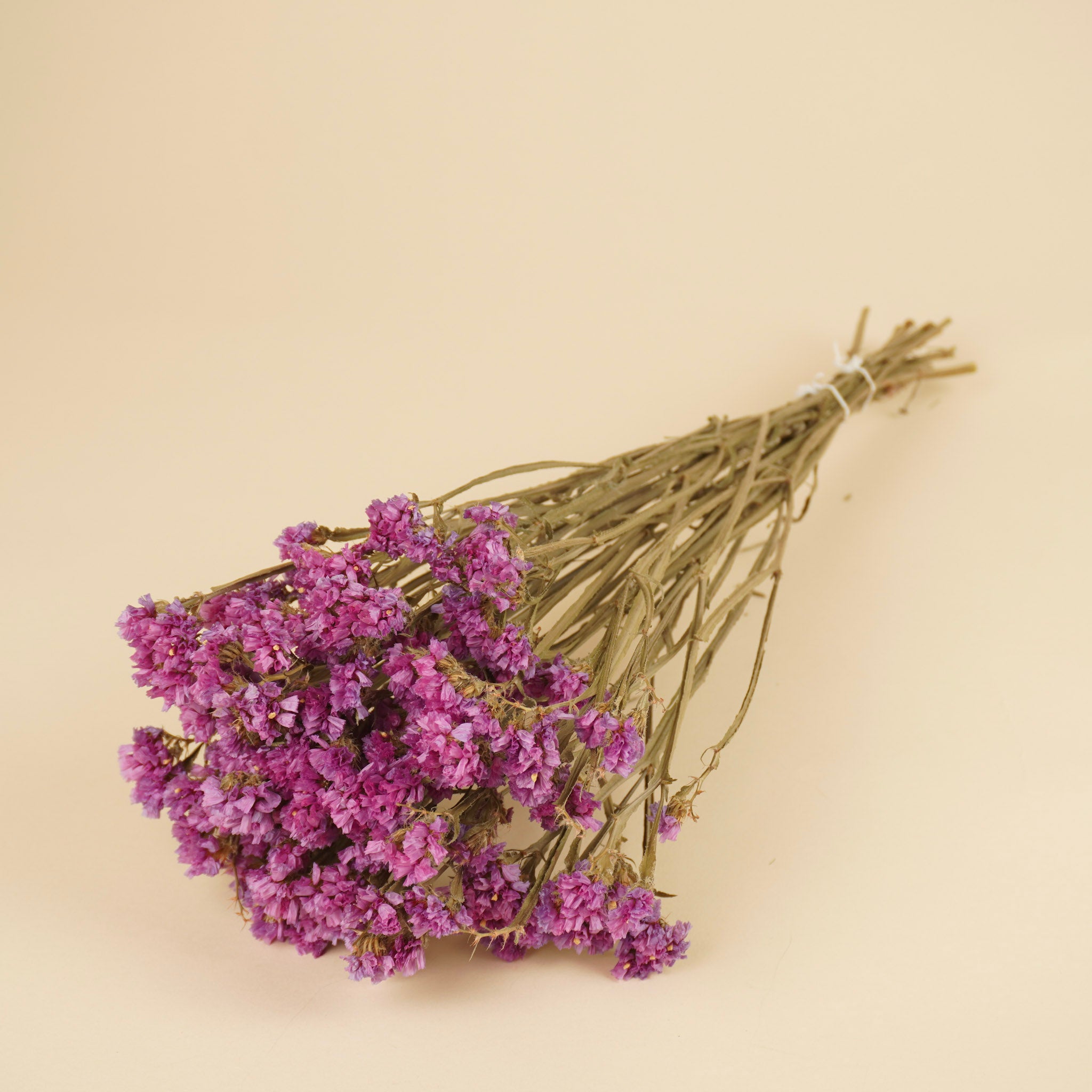Gedroogde statice sinuata – lila