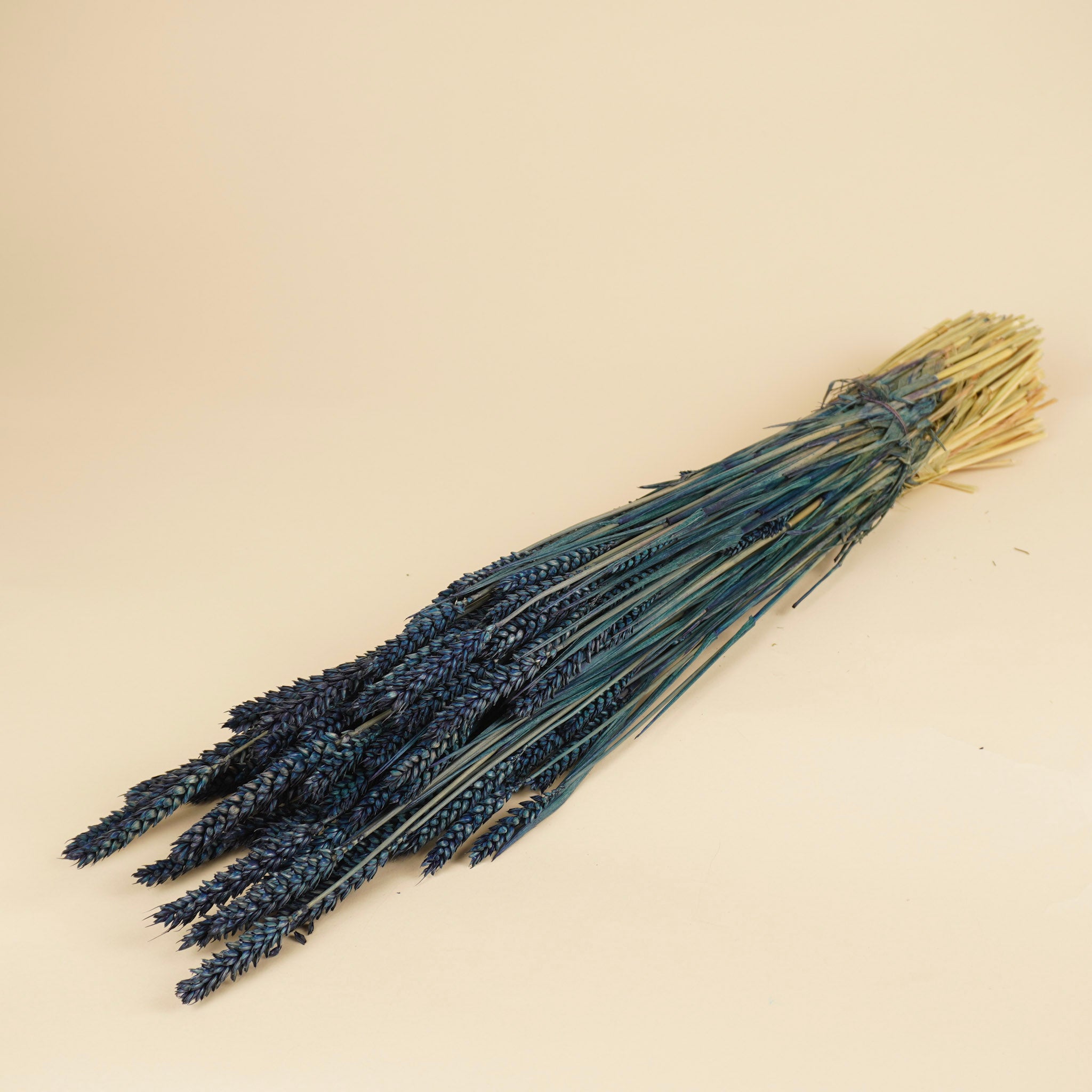 Gedroogde tarwe – blauw