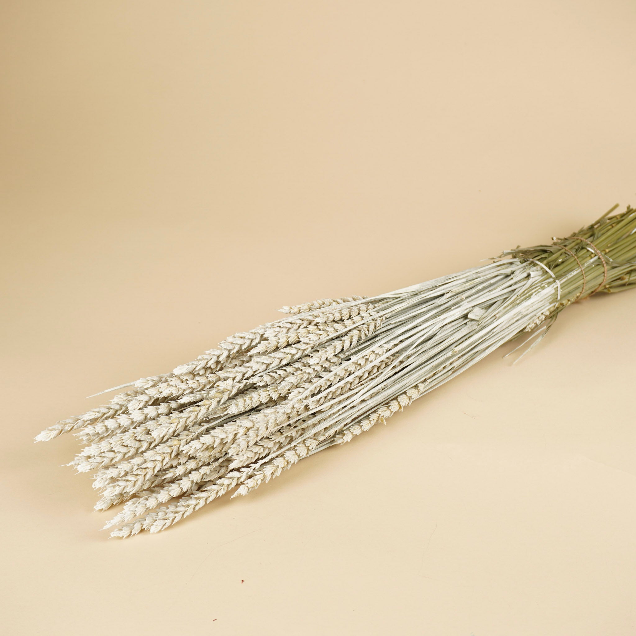 Gedroogde tarwe – wit geverfd