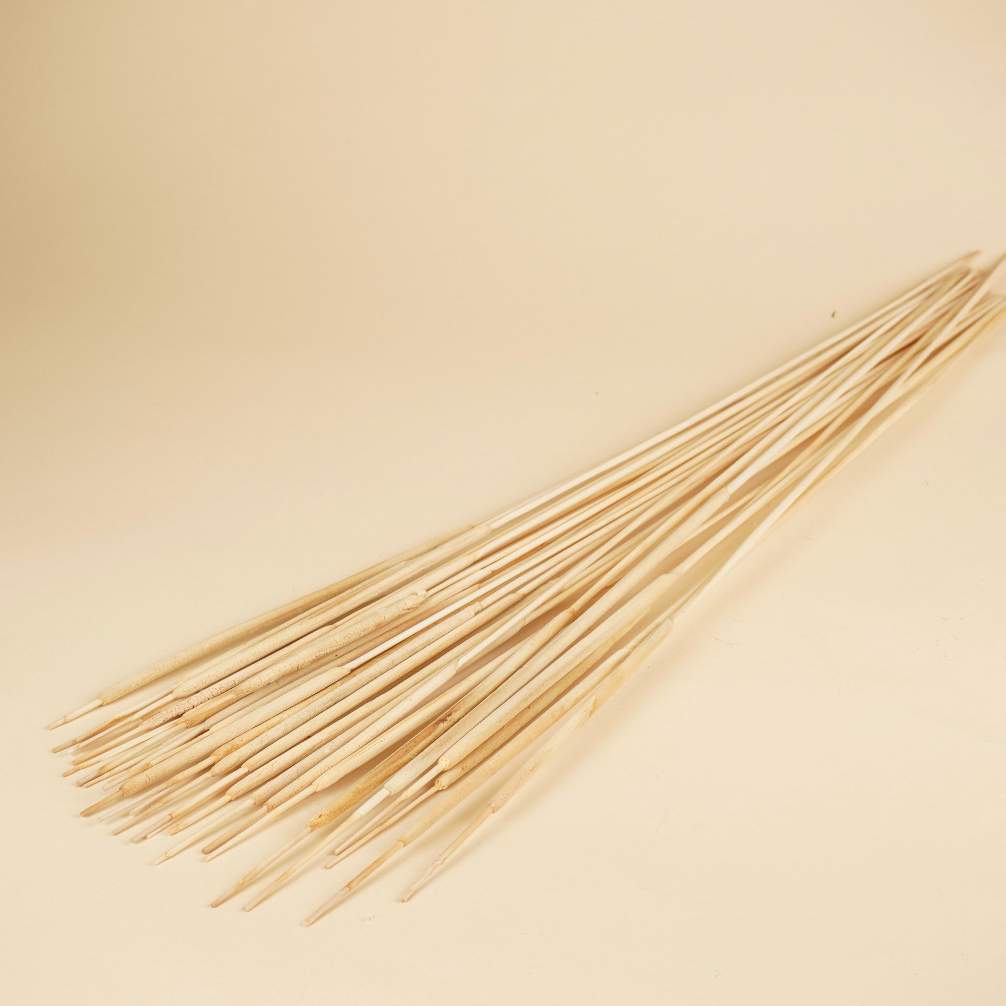 Gedroogde typha rietsigaar – gebleekt smal