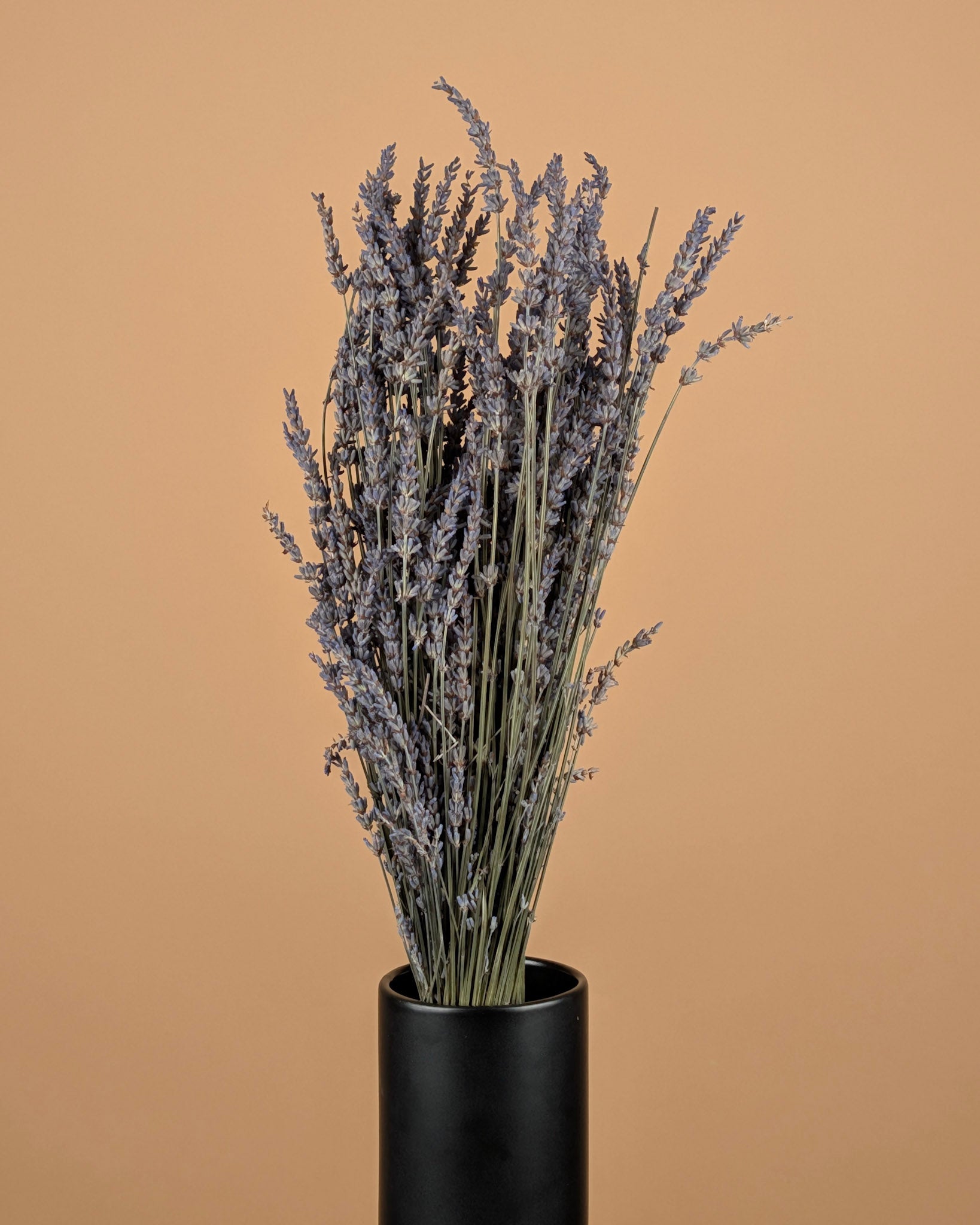 Gedroogde lavendel – naturel blauw