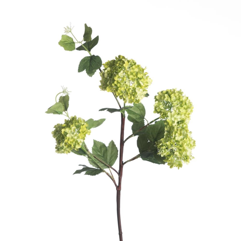 Zijde viburnumtak groen