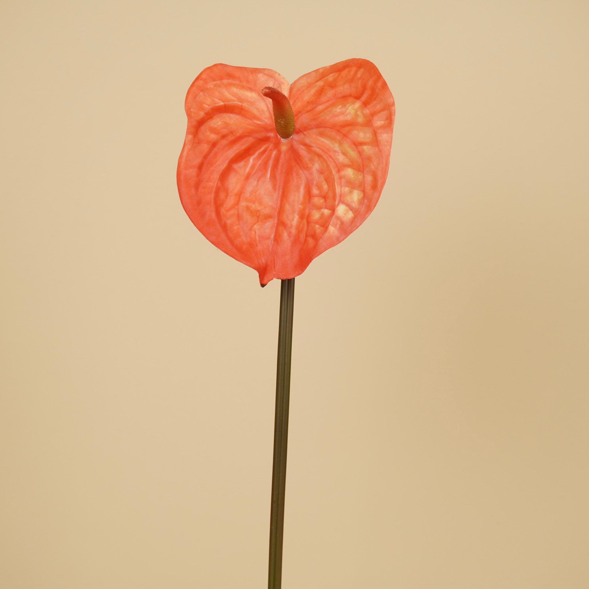 Zijde Anthurium – Oranje (65 cm)