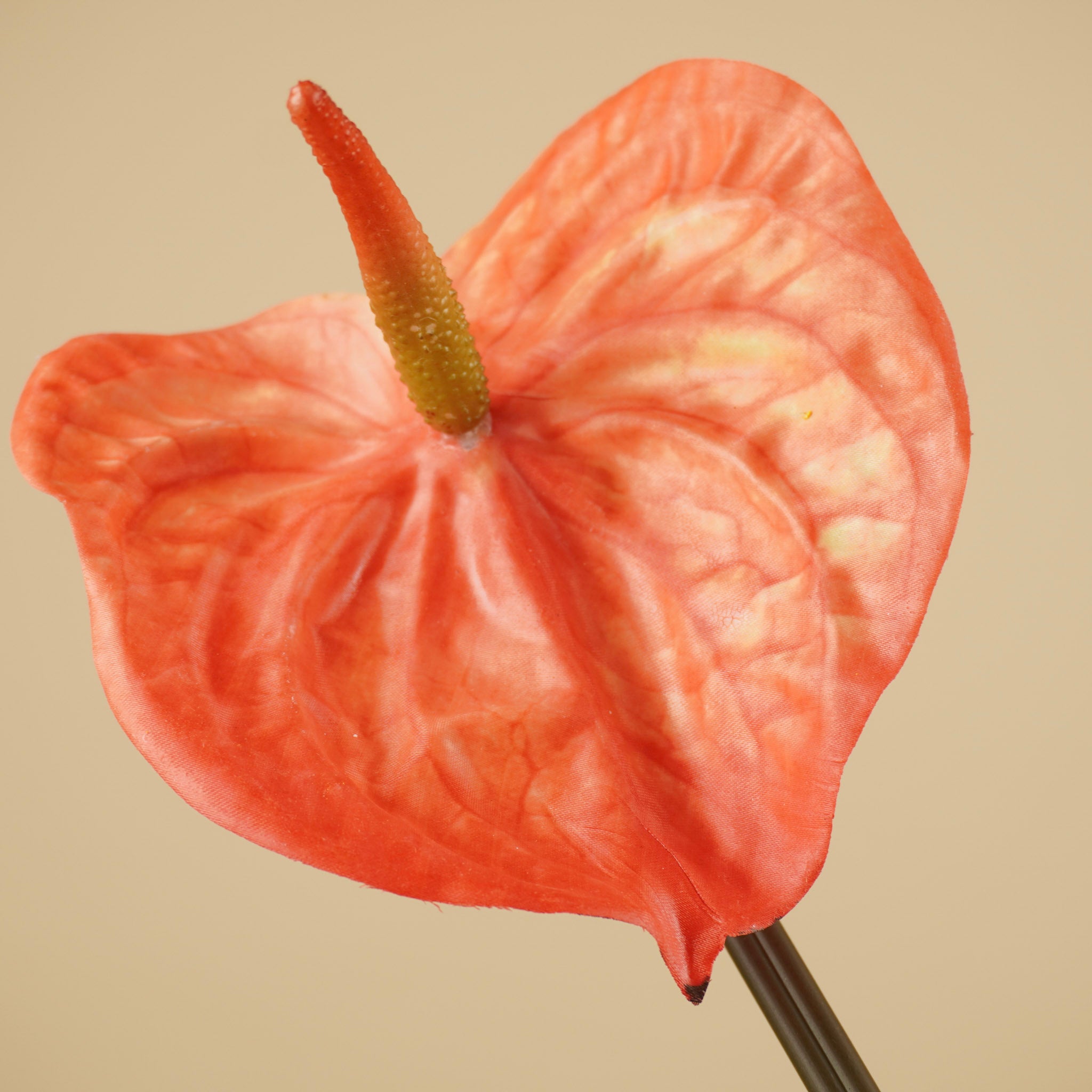 Zijde Anthurium – Oranje (65 cm)