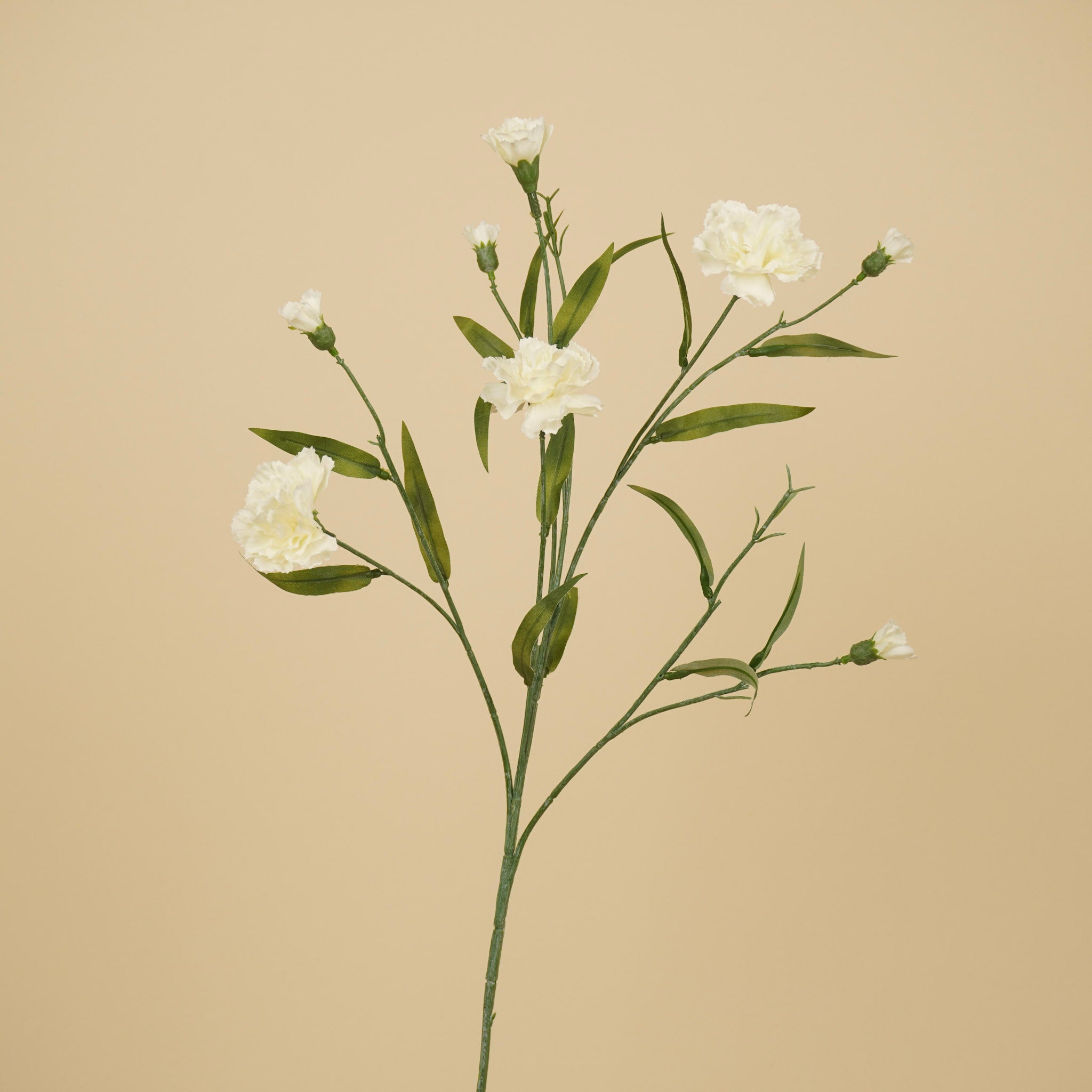 Zijde Dianthus – Crème (70 cm)